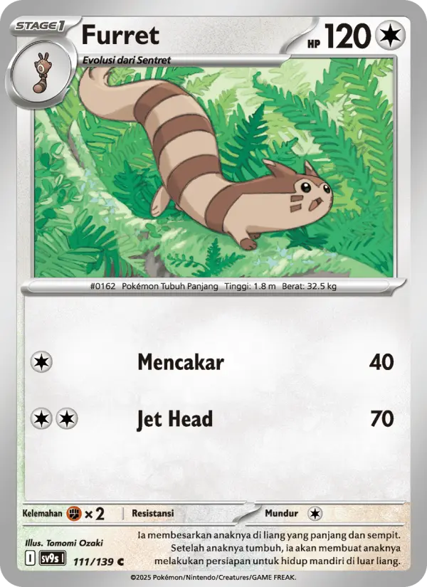 Furret